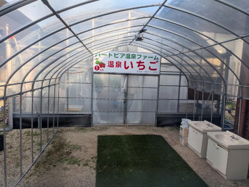 いちご農園
